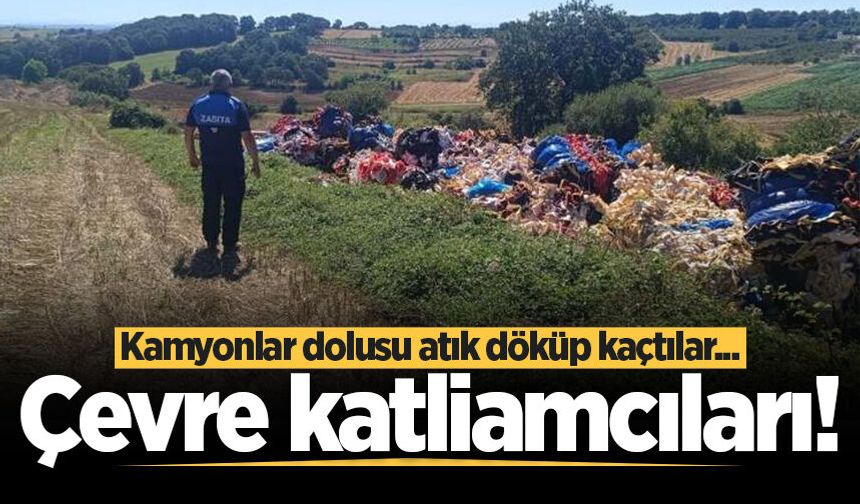 Kaynarca'da çevre katliamı: Kamyonlar dolusu atık döküp kaçtılar
