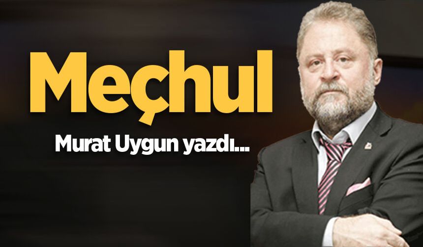 Meçhul