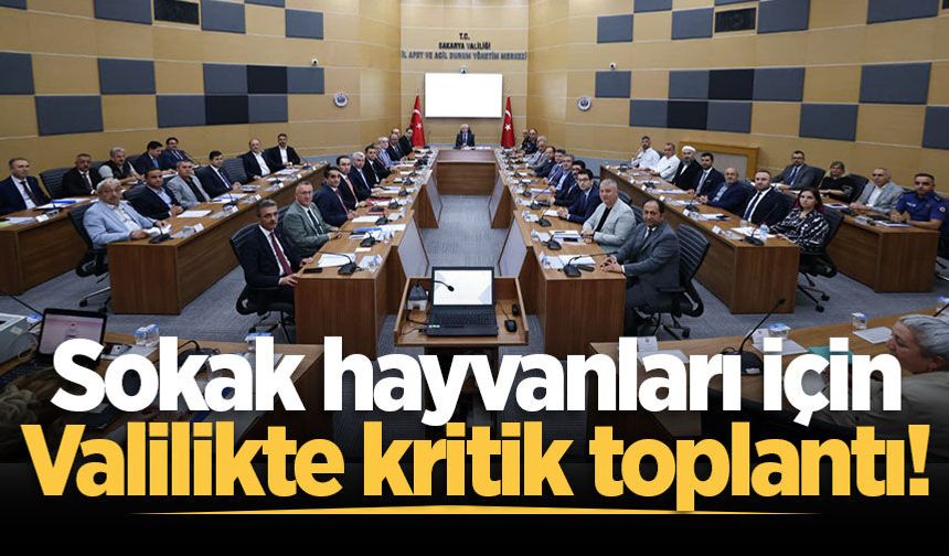 Sokak hayvanları için Valilikte kritik toplantı!