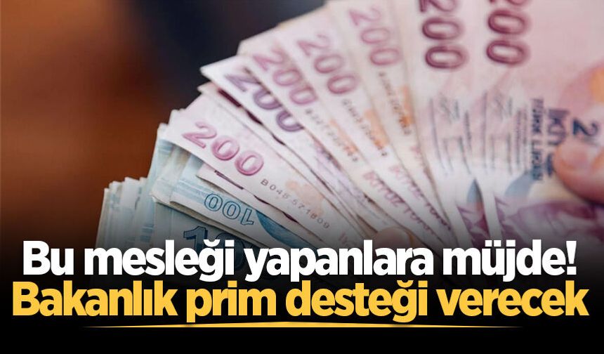 Bu mesleği yapanlara müjde! Bakanlık prim desteği verecek
