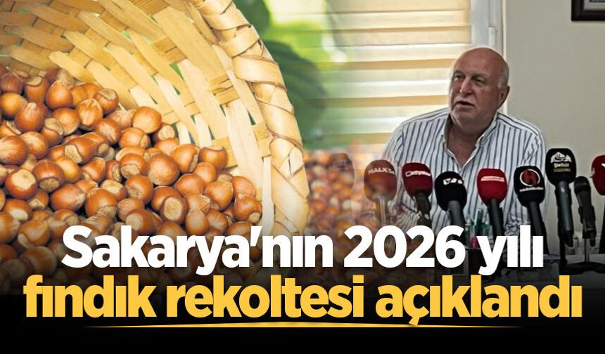 Sakarya'nın 2026 yılı fındık rekoltesi açıklandı
