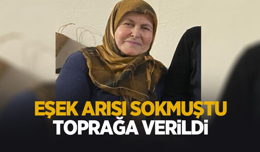 Eşek arısının soktuğu yaşlı kadın toprağa verildi