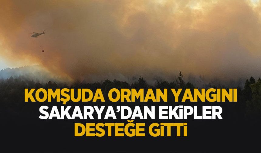 Orman yangını 3 saatin ardından kontrol altına alındı