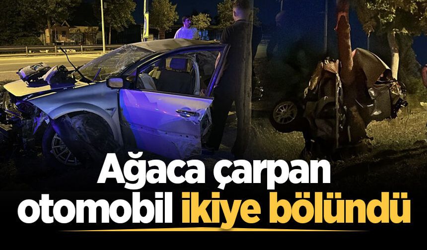 Ağaca çarpan otomobil ikiye bölündü