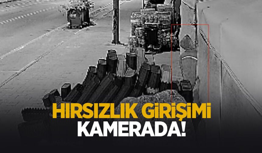 Hırsızlık girişimi kamerada: Biri kilitli kapıyı açmaya, diğeri paspası alıp kaçmaya çalıştı