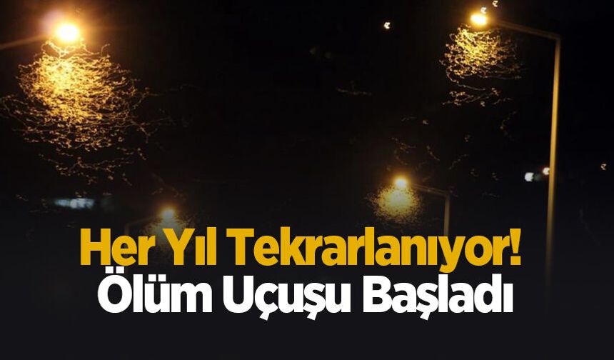Her yıl tekrarlanıyor! Ölüm uçuşu başladı
