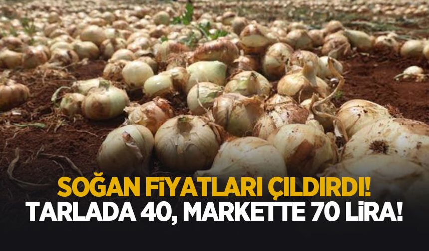 Soğan fiyatı cep yakıyor!