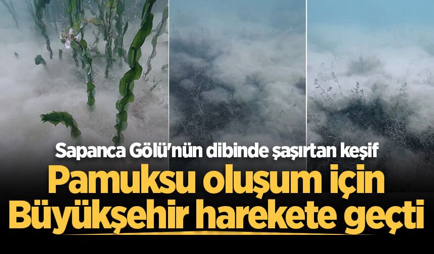 Sapanca Gölü'nün dibinde şaşırtan keşif: Pamuksu oluşum için Büyükşehir harekete geçti