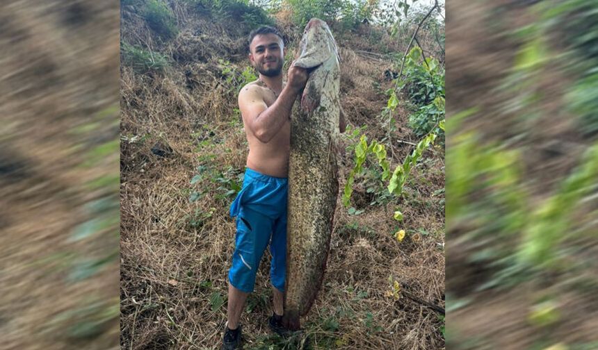 Sakarya Nehri’nde 40 kiloluk dev yayın balığı yakaladı
