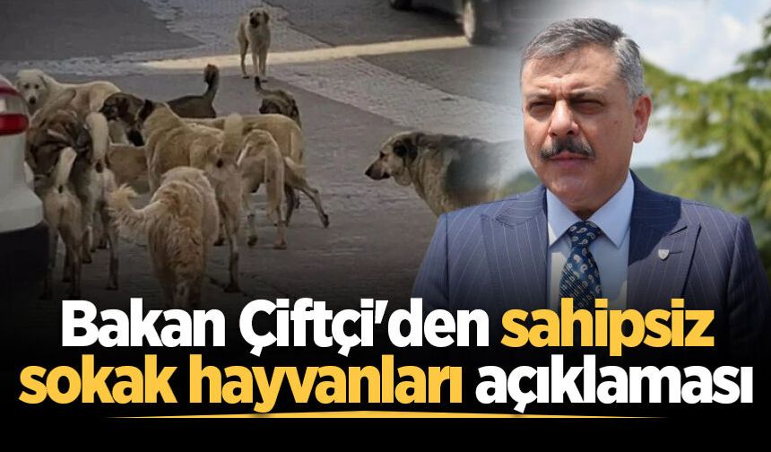 Bakan Çiftçi'den sahipsiz sokak hayvanları açıklaması
