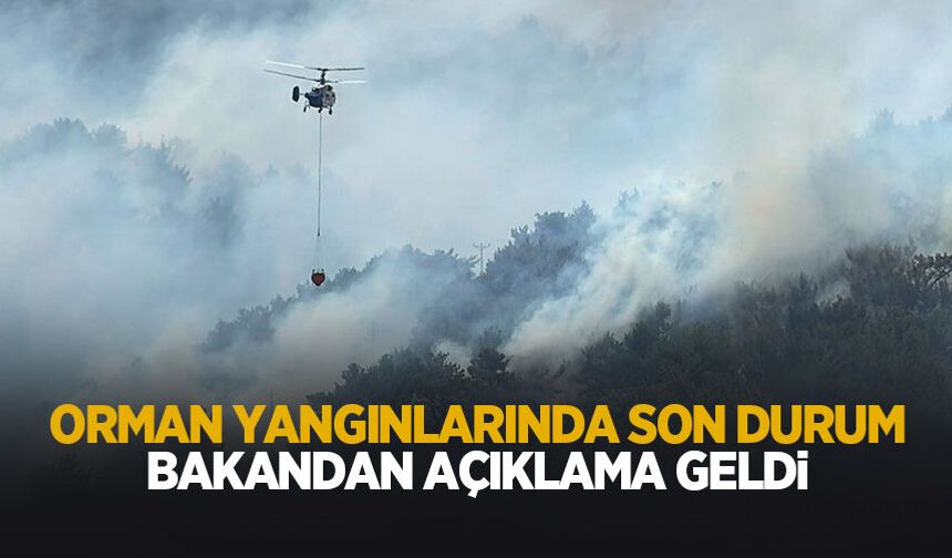 Orman yangınlarında son durum