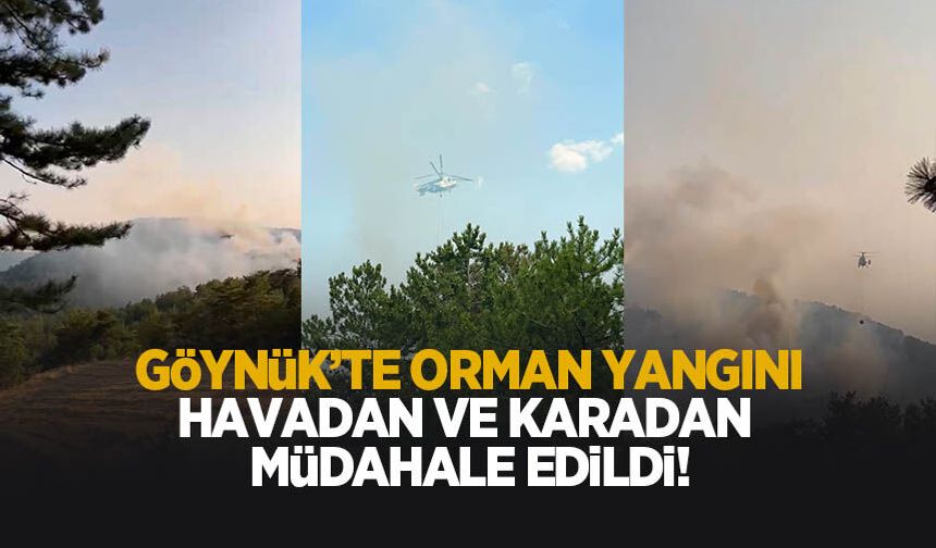 Göynük'te orman yangını