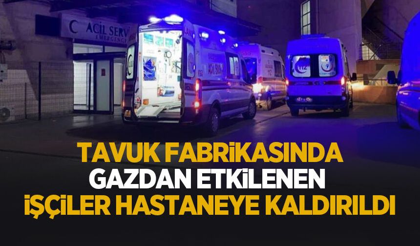 Tavuk fabrikasında gazdan etkilenen işçiler hastaneye kaldırıldı