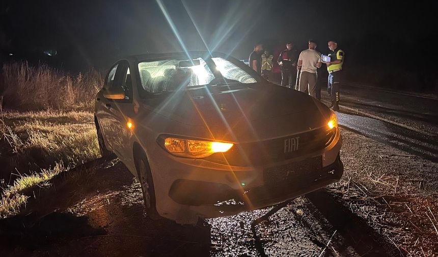 Otomobil şarampole uçtu
