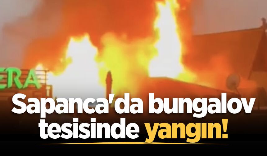 Sapanca'da bungalov tesisinde yangın!