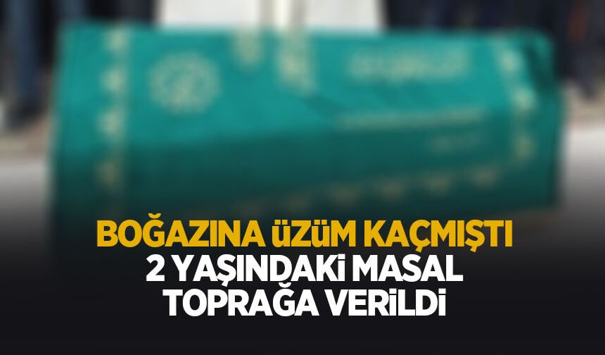 2 yaşındaki masal'a acı veda
