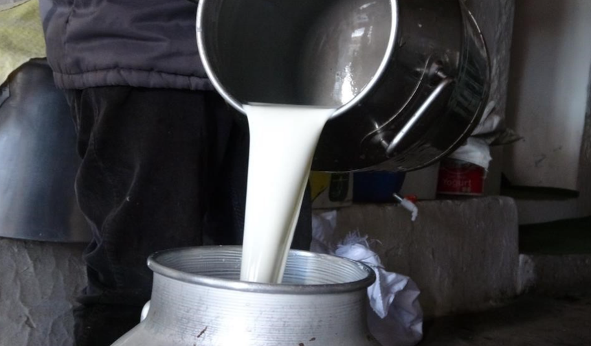 Süt üretiminde rakamlar açıklandı