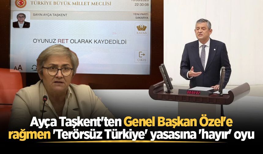 Ayça Taşkent'ten Genel Başkan Özel'e rağmen 'Terörsüz Türkiye' yasasına 'hayır' oyu