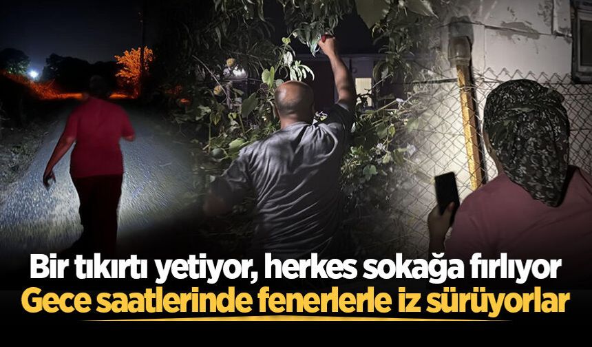 Bir tıkırtı yetiyor, herkes sokağa fırlıyor: Gece saatlerinde fenerlerle iz sürüyorlar