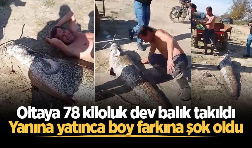 Oltaya 78 kiloluk dev balık takıldı: Yanına yatınca boy farkına şok oldu
