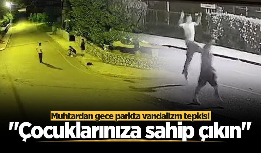Muhtardan gece parkta vandalizm tepkisi: "Çocuklarınıza sahip çıkın"