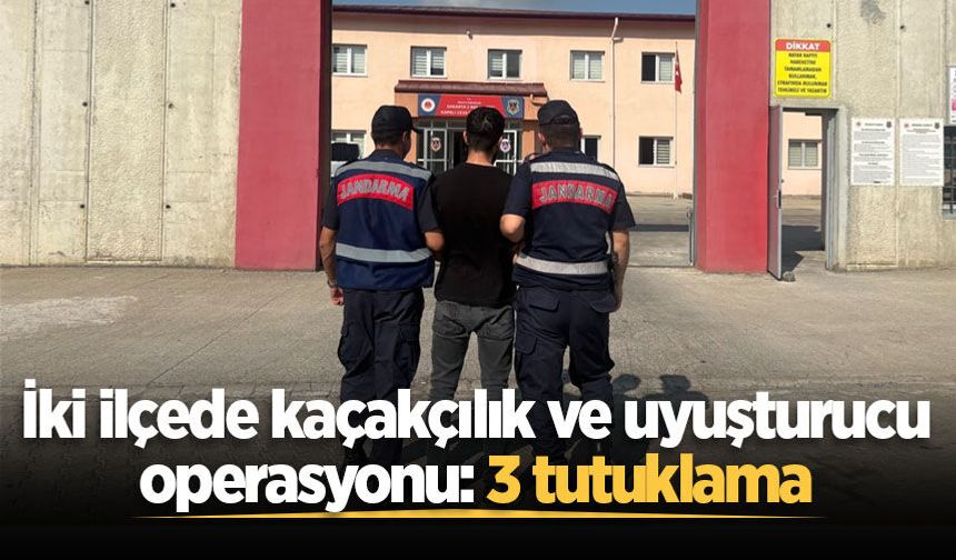 Sakarya'da iki ilçede kaçakçılık ve uyuşturucu operasyonu: 3 tutuklama
