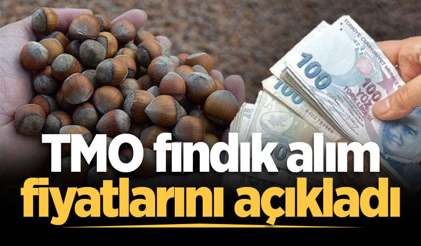 TMO fındık alım fiyatlarını açıkladı