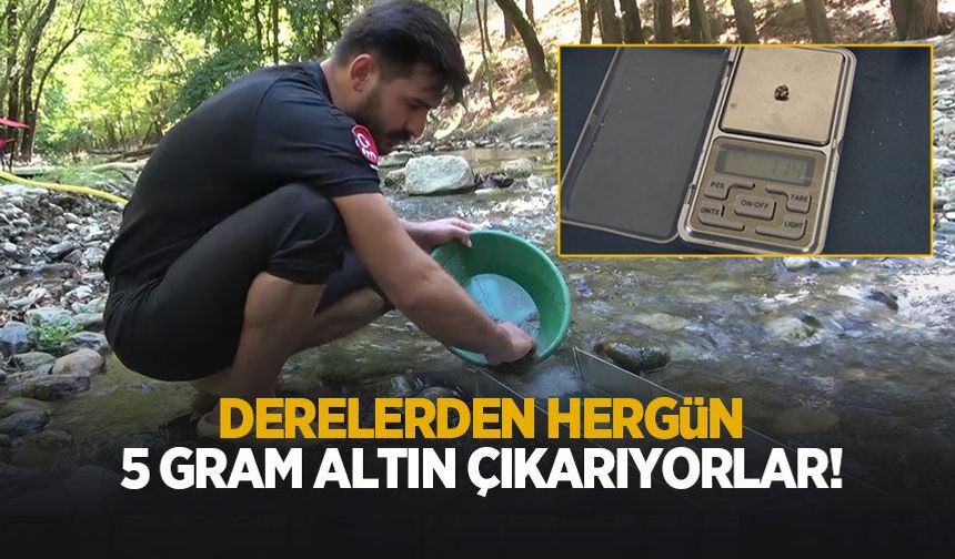 Derelerde her gün 5 gram altın çıkarıyorlar