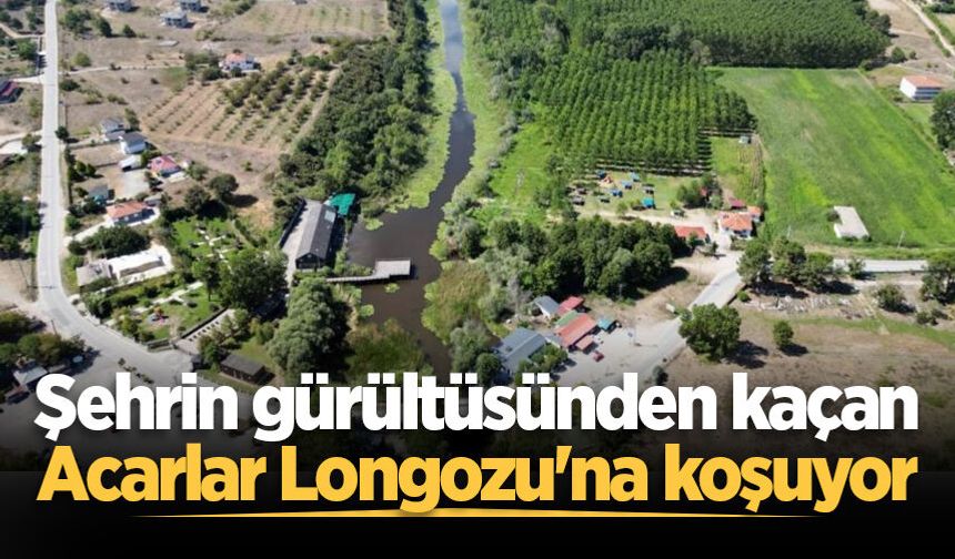 Şehrin gürültüsünden kaçan Acarlar Longozu'na koşuyor