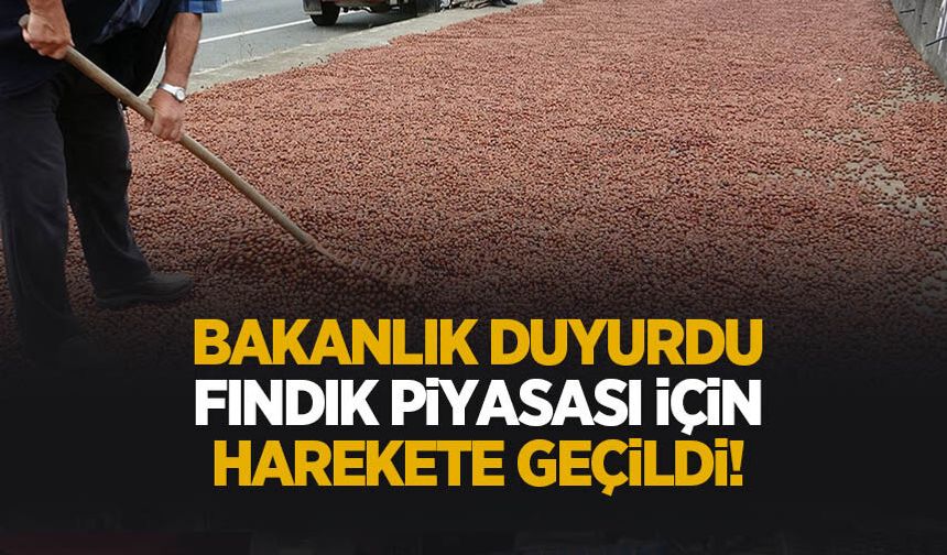 Bakanlıktan fındık piyasası için flaş adım