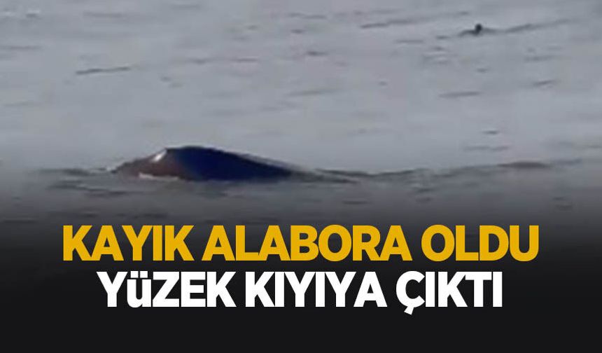 Kayık alabora oldu: Yüzerek karaya çıktı