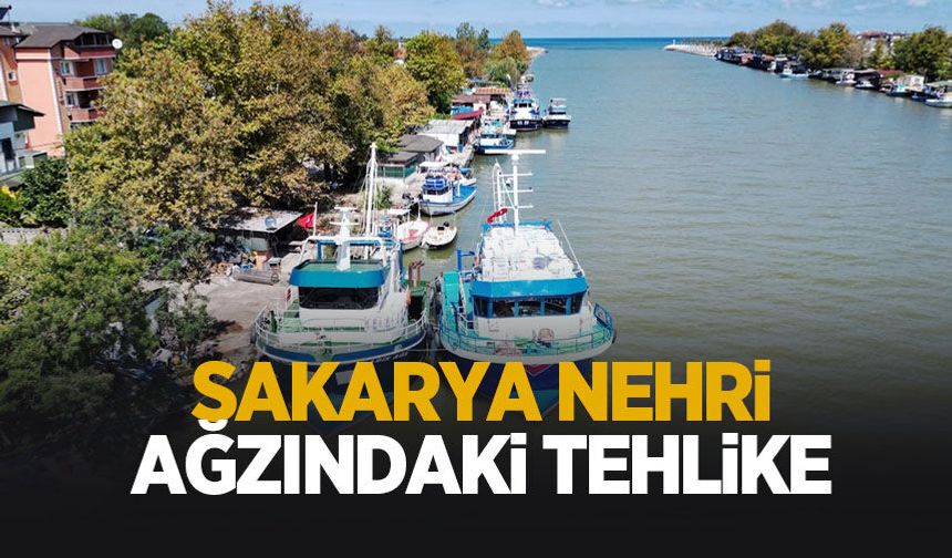 Sakarya Nehri ağzındaki tehlike