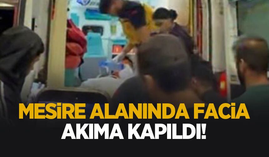 Mesire alanında facia! Akıma kapıldı