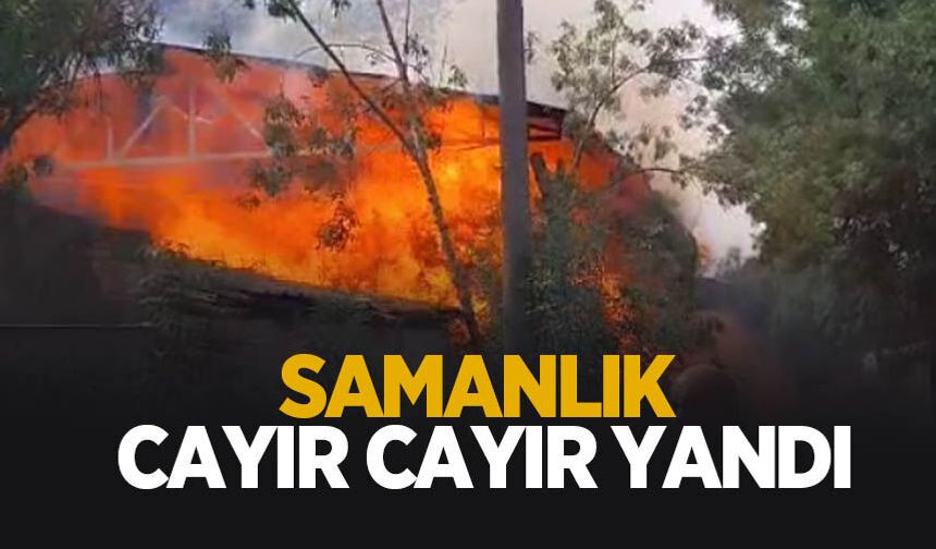 Samanlık alev alev yandı