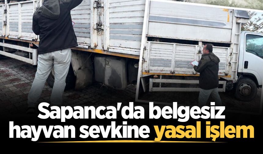 Sapanca'da belgesiz hayvan sevkine yasal işlem