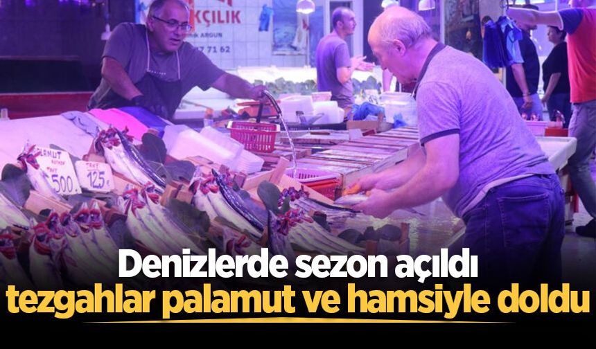 Denizlerde sezon açıldı, tezgahlar palamut ve hamsiyle doldu