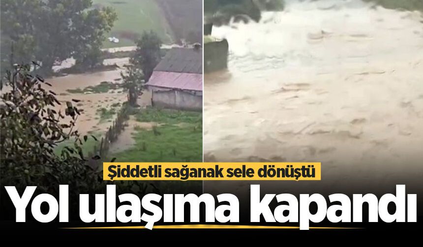 Şiddetli sağanak sele dönüştü: Yol ulaşıma kapandı