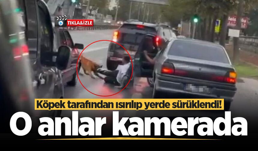 Köpek tarafından ısırılıp yerde sürüklendi! O anlar kamerada