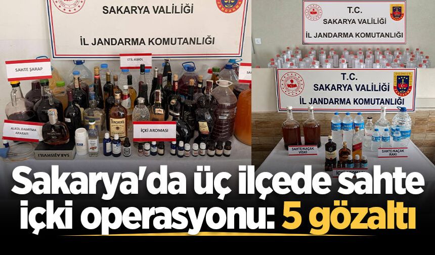 Sakarya'da üç ilçede sahte içki operasyonu: 5 gözaltı