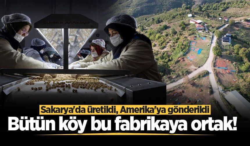 Bütün köy bu fabrikaya ortak! Sakarya'da üretildi, Amerika'ya gönderildi