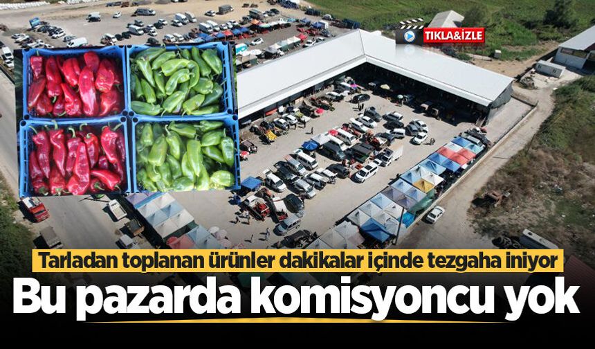 Bu pazarda komisyoncu yok: Tarladan toplanan ürünler dakikalar içinde tezgaha iniyor