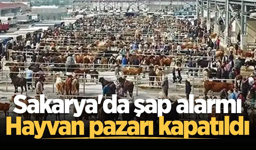 Sakarya Hayvan pazarı şap hastalığı nedeniyle kapatıldı