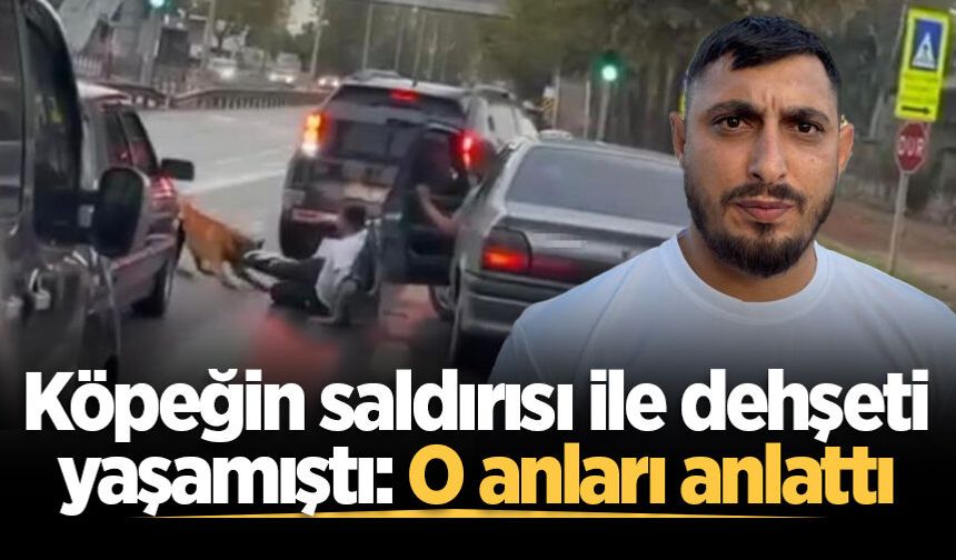 Köpeğin saldırısı ile dehşeti yaşamıştı: O anları anlattı