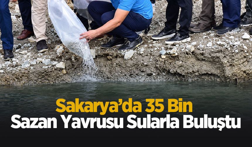 Sakarya’da 35 bin sazan yavrusu sularla buluştu