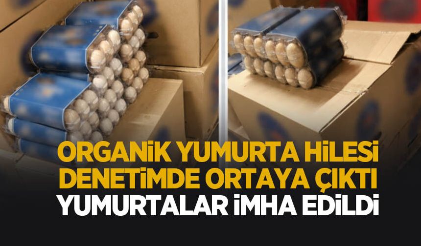 Yumurtada hile! Binlercesi imha edildi
