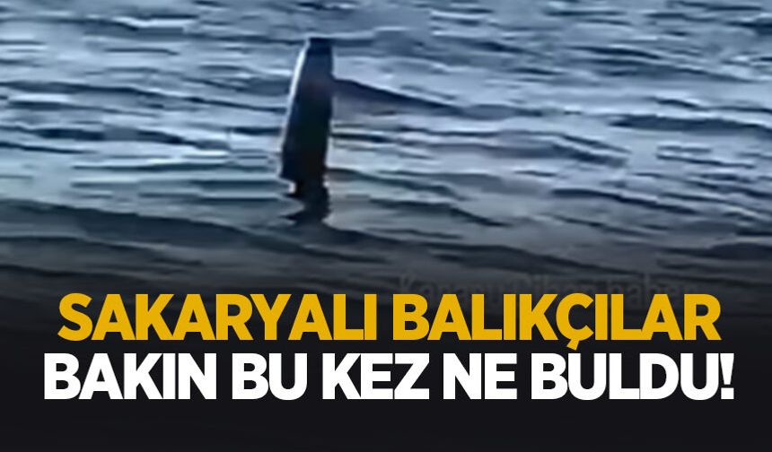 Sakaryalı balıkçılar bakın bu kez ne buldu!