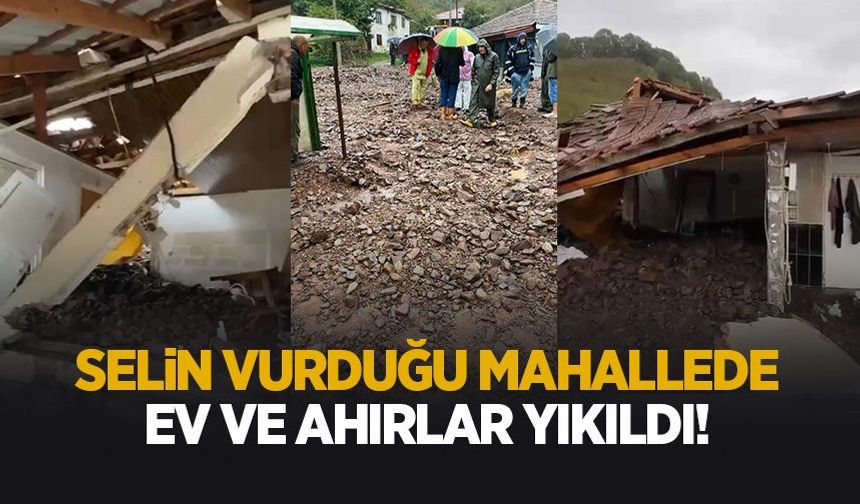 Sel deprem gibi yıkıma neden oldu: Bir mahallede ev ve ahırlar yıkıldı