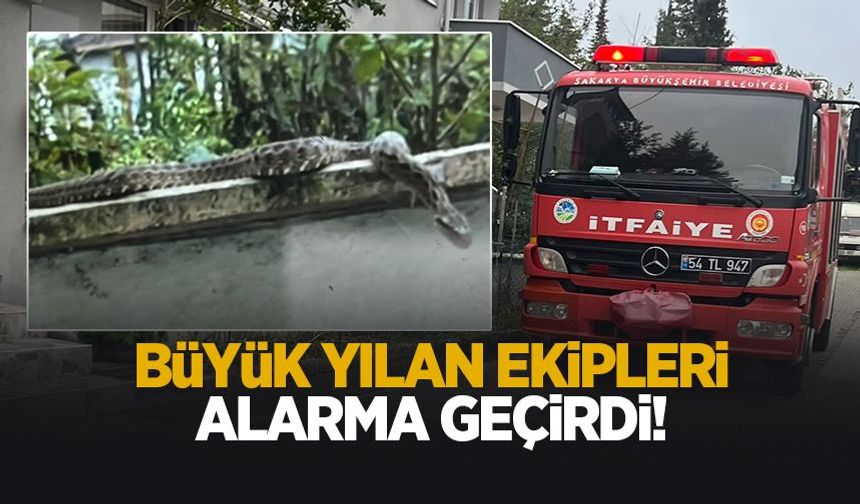 Bahçede dev yılan paniği