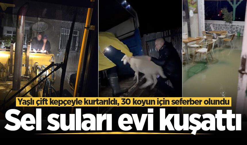 Sel suları evi kuşattı: Yaşlı çift kepçeyle kurtarıldı, 30 koyun için seferber olundu