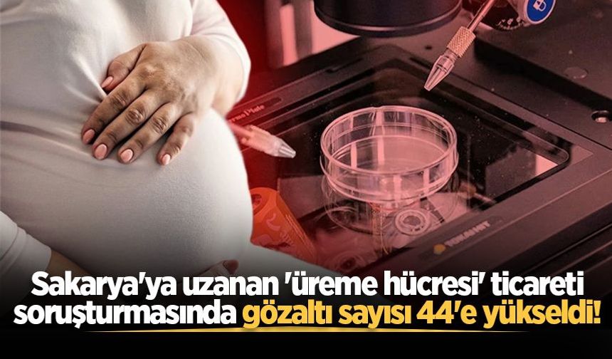 Sakarya'ya uzanan 'üreme hücresi' ticareti soruşturmasında gözaltı sayısı 44'e yükseldi!